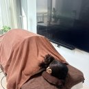 판교로210번길 | 성남 분당 판교 산전 산후 마사지 헬레나맘케어 90분 관리 후기