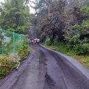 공공용 88 이미지