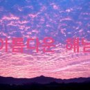 봄뜰에농장 이미지