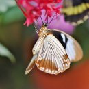 계양여성회관 이미지