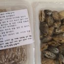 초계메밀국수돈까스 이미지