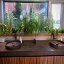 안성종합인테리어 | 안성 칠장사 브런치 맛집, 애견동반 카페 &lt;온스어폰어네이처&gt; 솔직후기