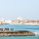 영진목장 이미지