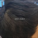 영부티크 이미지