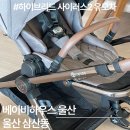 [하이브리드 사이러스2/이지폴드3플러스] 절충형+휴대용 유모차 수령 및 개봉 후기