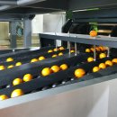 표선농업협동조합 농산물산지유통센터 이미지