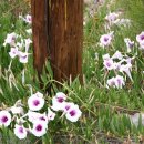 청명크리닝 이미지