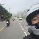 형제조류 이미지