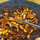 이모네용두동신쭈꾸미/형곡점 | [맛집기록23] 서울 쭈꾸미볶음 맛집 용두동 나정순할매쭈꾸미 몇년만의 재방문에 재감동한 후기