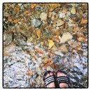 지렌트카 이미지