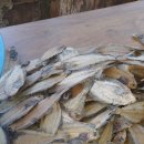 양덕동602 이미지