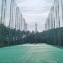 다일락스포렉스 이미지