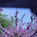 매자리길 이미지