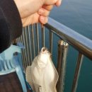 여수밤바다 펜션 이미지