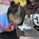 익산 고양이카페 아이캣유 이미지