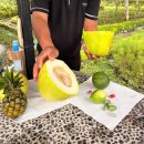 새들가든 | [4세 아이랑 발리] 우붓 파드마 리조트 액티비티 후기 (요가, Agroforestry Tour, 애니멀가든 등)