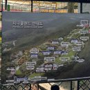 아산) 튤립세상 피나클랜드 후기 및 꿀팁 4월 말 개화상태