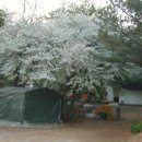 김상기농장 이미지