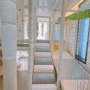 뜨레놀레 키즈풀빌라 이미지