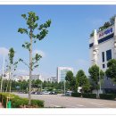 오리역 4번출구 이미지