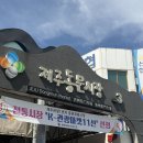 주식회사 꽃길만걷차 | 뚜벅이 제주 여행 1일차 - 가방을 부탁해, 동문시장...운화당, 자양식당, 꽃길만 걷차 전동바이크, 소심...