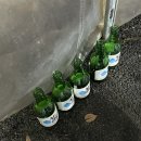 과음과 해장의 무한 굴레.. 반성하며 되돌아보는 1월