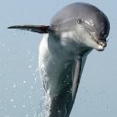 드림월드프라자 이미지