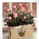 행복한하루 이미지