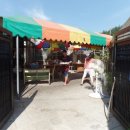 철원막국수 이미지