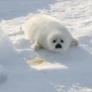 하프PC방 이미지