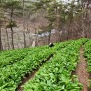 성의농장 이미지