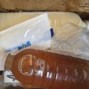 정선콩국수 소소정 이미지