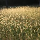 돌담길민박 이미지