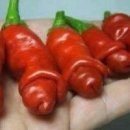 디유삼