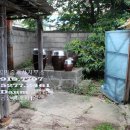 송해면-5 이미지