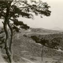 서울청운초등학교