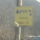 세이지힐 패밀리 캠핑장 이미지