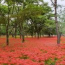 산호동247 이미지