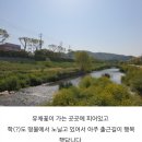 금호천 이미지