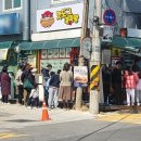 정성핫도그