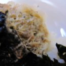 훼밀리김밥 이미지