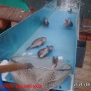 k3바다낚시터 이미지