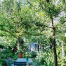 나무그늘의 작은집 작은세상 이미지