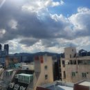 중앙동221 이미지