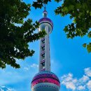상하이 여행 코스 추천 동방명주 전망대 티켓 예매 석양 후기
