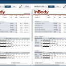 크로스펀치