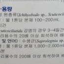 수생약국 이미지