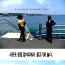 바당놀