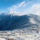 제632차 (1/4)단양 국립공원 소백산비로봉(1.439m) 눈꽃산행 이미지