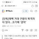 태백 거대구렁이기사봤어? 이미지